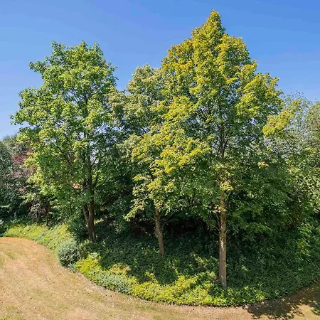 Ferienwohnpark Zwei-zimmer-apartment 49 35 Immenstaad am Bodensee